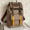 GUCCI BACKPACK (BROWN)